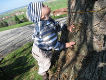 Der Baum ist soooo gro !!! Erstes Piknick 07.04.2009.