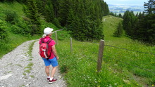 Kappler-Alpe (30.06.2020)