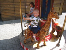 Augsburger-Zoo 30.08.2008